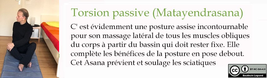 B4 BaudouinLegrandMatayendrasana250x850